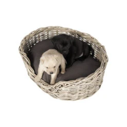 51 Degrees North Rattan Basket -Optimal Tierbedarf Geschäft 51 degrees north rattan basket 209954 0500 none