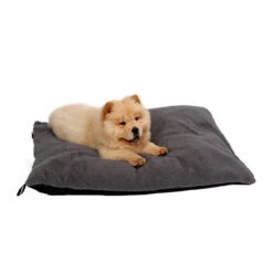 51 Degrees North Sheep Hundekissen -Optimal Tierbedarf Geschäft 51 degrees north sheep hondenkussen 141479 0500 none