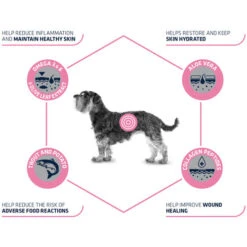 Affinity Advance Veterinary Diets Atopic Mini Hund -Optimal Tierbedarf Geschäft affinity advance veterinary diets atopic mini hond 177538 0500 none