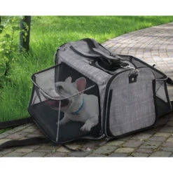 AFP Travel Dog - Hundetransportbox Mit Rollen -Optimal Tierbedarf Geschäft afp travel dog rolling pet carrier 213521 0500 none