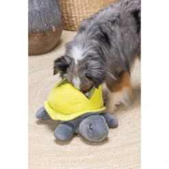 Beeztees Hide And Seek Schildo 7 Beeztees Hide And Seek Schildo -Optimal Tierbedarf Geschäft beeztees hide and seek schildo 221788 0500 none