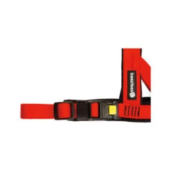 Beeztees Parinca Premium Comfort Hundegeschirr -Optimal Tierbedarf Geschäft beeztees parinca premium comfort hondentuig 198548 0500 none