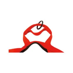 Beeztees Parinca Premium Comfort Hundegeschirr -Optimal Tierbedarf Geschäft beeztees parinca premium comfort hondentuig 198554 0500 none