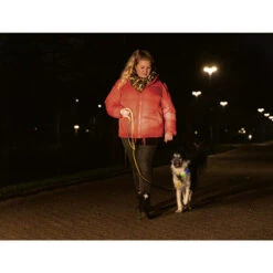 Beeztees Safety Gear Parinca Premium Halsband -Optimal Tierbedarf Geschäft beeztees safety gear parinca premium halsband 215009 0500 none