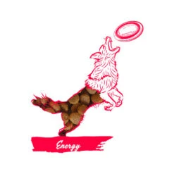 Calibra Dog Expert Nutrition Energy -Optimal Tierbedarf Geschäft calibra dog expert nutrition energy 163534 0500 none