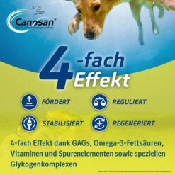 Canosan® Kautabletten Für Hunde -Optimal Tierbedarf Geschäft canosan kauwtabletten voor hond 213641 0500 none