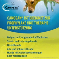 Canosan® Pellets Für Hunde -Optimal Tierbedarf Geschäft canosan pellets voor hond 213609 0500 none