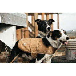 Carhartt Dog Chore Coat -Optimal Tierbedarf Geschäft carhartt dog chore coat 186748 0500 none