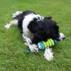 Coockoo Larry -Optimal Tierbedarf Geschäft coockoo larry 216712 0500 none