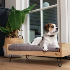 Designed By Lotte Hundebett Turana -Optimal Tierbedarf Geschäft designed by lotte ligmand turana 170032 0500 none