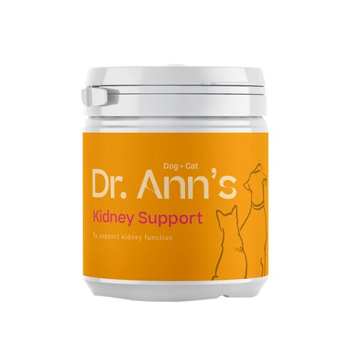 Dr. Ann's Kidney Support 1 Dr. Ann's Kidney Support