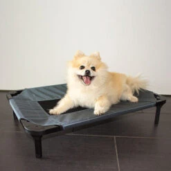 Duvo+ Hundeliege Relax -Optimal Tierbedarf Geschäft duvo hondenstretcher relax 199796 0500 none