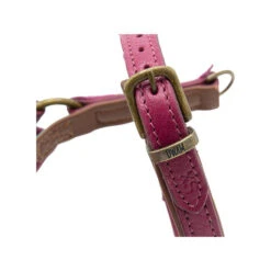 DWAM Hundegeschirr Lou Lou -Optimal Tierbedarf Geschäft dwam hondentuigje lou lou 182158 0500 none