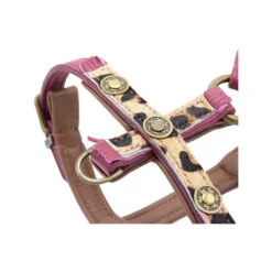 DWAM Hundegeschirr Lou Lou -Optimal Tierbedarf Geschäft dwam hondentuigje lou lou 182161 0500 none