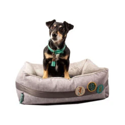 DWAM Jungle Love Korb 7 DWAM Jungle Love Korb -Optimal Tierbedarf Geschäft dwam jungle love mand 186595 0500 none