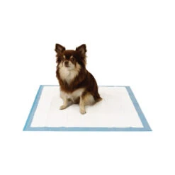 Easypets Trainingpads -Optimal Tierbedarf Geschäft easypets trainingspads 184186 0500 none
