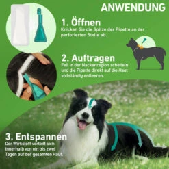 Frontline Combo Gegen Zecken, Flöhe (Flöhe, Eier, Larven, Puppen) Bei Hunden -Optimal Tierbedarf Geschäft frontline combo spot on hond 192953 0500 none