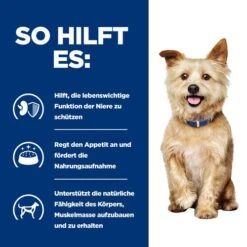 Hill's K/d Kidney Care Ragout - Prescription Diet - Canine -Optimal Tierbedarf Geschäft hills kd kidney care stoofpotje prescription diet canine 212567 0500 none