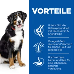 Hill's Science Plan - Adult - Large - Lamm -Optimal Tierbedarf Geschäft hills science plan adult large lamb 218816 0500 none