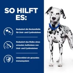 Hill's U/d - Urinary Care - Prescription Diet - Canine -Optimal Tierbedarf Geschäft hills ud urinary care prescription diet canine 218169 0500 none