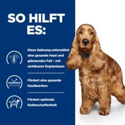 Hill's Z/d Food Sensitivities - Prescription Diet - Canine -Optimal Tierbedarf Geschäft hills zd food sensitivities prescription diet canine 214331 0500 none