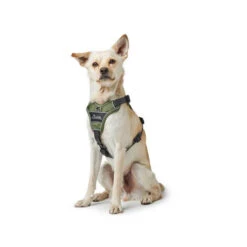 Hunter Geschirr Divo Dunkelblau/Grau -Optimal Tierbedarf Geschäft hunter harnas divo donkerblauwgrijs 166891 0500 none