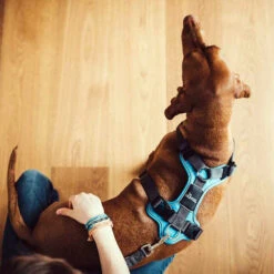 Hunter Geschirr Divo Dunkelblau/Grau -Optimal Tierbedarf Geschäft hunter harnas divo donkerblauwgrijs 166903 0500 none