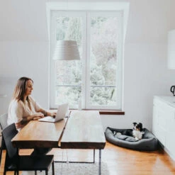 Hunter Eckkorb Livingstone - Grau -Optimal Tierbedarf Geschäft hunter hoekmand livingstone grijs 175903 0500 none