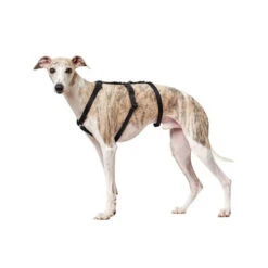 Hunter Vario Rapid Sicherheitsgeschirr - Schwarz -Optimal Tierbedarf Geschäft hunter vario rapid veiligheidsharnas zwart 169501 0500 none