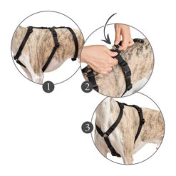 Hunter Vario Rapid Sicherheitsgeschirr - Schwarz -Optimal Tierbedarf Geschäft hunter vario rapid veiligheidsharnas zwart 169510 0500 none