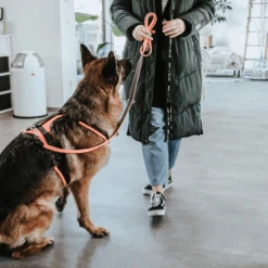 Hunter Sicherheitsgeschirr Maldon -Optimal Tierbedarf Geschäft hunter veiligheidsharnas maldon 221557 0500 none