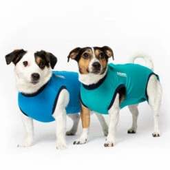 Jacketz Medical Body Suit Für Hunde -Optimal Tierbedarf Geschäft jacketz medical body suit hond 209516 0500 none
