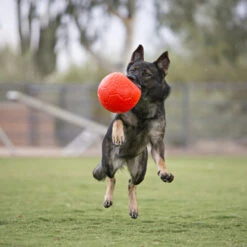 Jolly Soccer Ball -Optimal Tierbedarf Geschäft jolly soccer ball 162241 0500 none