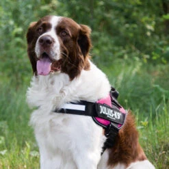 Julius K9 IDC Powergeschirr -Optimal Tierbedarf Geschäft julius k9 idc powertuig 192695 0500 none