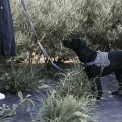 Kentucky Dogwear Hundegeschirr Body Safe Wool -Optimal Tierbedarf Geschäft kentucky dogwear hondenharnas body safe wool 219214 0500 none