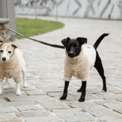 Kentucky Dogwear Hundejacke Teddy Fleece -Optimal Tierbedarf Geschäft kentucky dogwear hondenjas teddy fleece 219186 0500 none