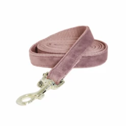 Kentucky Dogwear Hundeleine Velvet -Optimal Tierbedarf Geschäft kentucky dogwear hondenlijn velvet 219297 0500 none