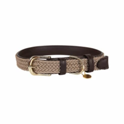 Kentucky Dogwear Nylon Hundehalsband -Optimal Tierbedarf Geschäft kentucky dogwear nylon hondenhalsband 219176 0500 none