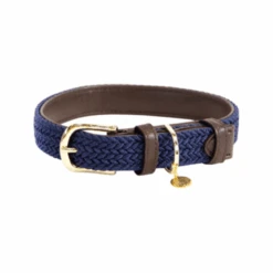 Kentucky Dogwear Nylon Hundehalsband -Optimal Tierbedarf Geschäft kentucky dogwear nylon hondenhalsband 219180 0500 none