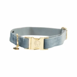 Kentucky Dogwear Velvet Hundehalsband -Optimal Tierbedarf Geschäft kentucky dogwear velvet hondenhalsband 219232 0500 none