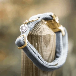 Kentucky Dogwear Velvet Hundehalsband -Optimal Tierbedarf Geschäft kentucky dogwear velvet hondenhalsband 219236 0500 none