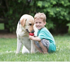 KONG Classic -Optimal Tierbedarf Geschäft kong classic 98642 0500 none