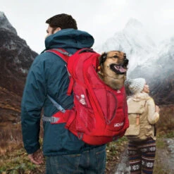 Kurgo G-Train K9 Pack -Optimal Tierbedarf Geschäft kurgo g train k9 pack 177133 0500 none