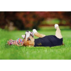 Medical Pet Shirt Hund -Optimal Tierbedarf Geschäft medical pet shirt hond 149981 0500 none