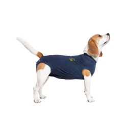 Medical Pet Shirt Hund -Optimal Tierbedarf Geschäft medical pet shirt hond 167419 0500 none
