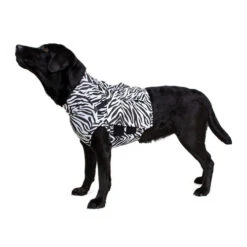 Medical Pet Top Shirt Zebra