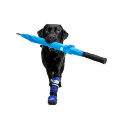 Medical Pet Shirt Boot -Optimal Tierbedarf Geschäft medical pets boot 167482 0500 none