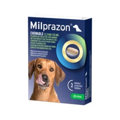 Milprazon Chewable Hund -Optimal Tierbedarf Geschäft milprazon chewable hond 206282 0500 none