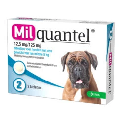 Milquantel Hund -Optimal Tierbedarf Geschäft milquantel hond 112622 0500 none