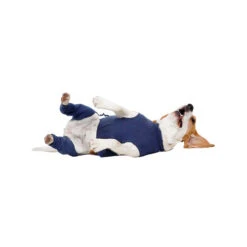 MPS-HLS Hinterbeinschutz -Optimal Tierbedarf Geschäft mps hls achterpootmouwtjes 167440 0500 none